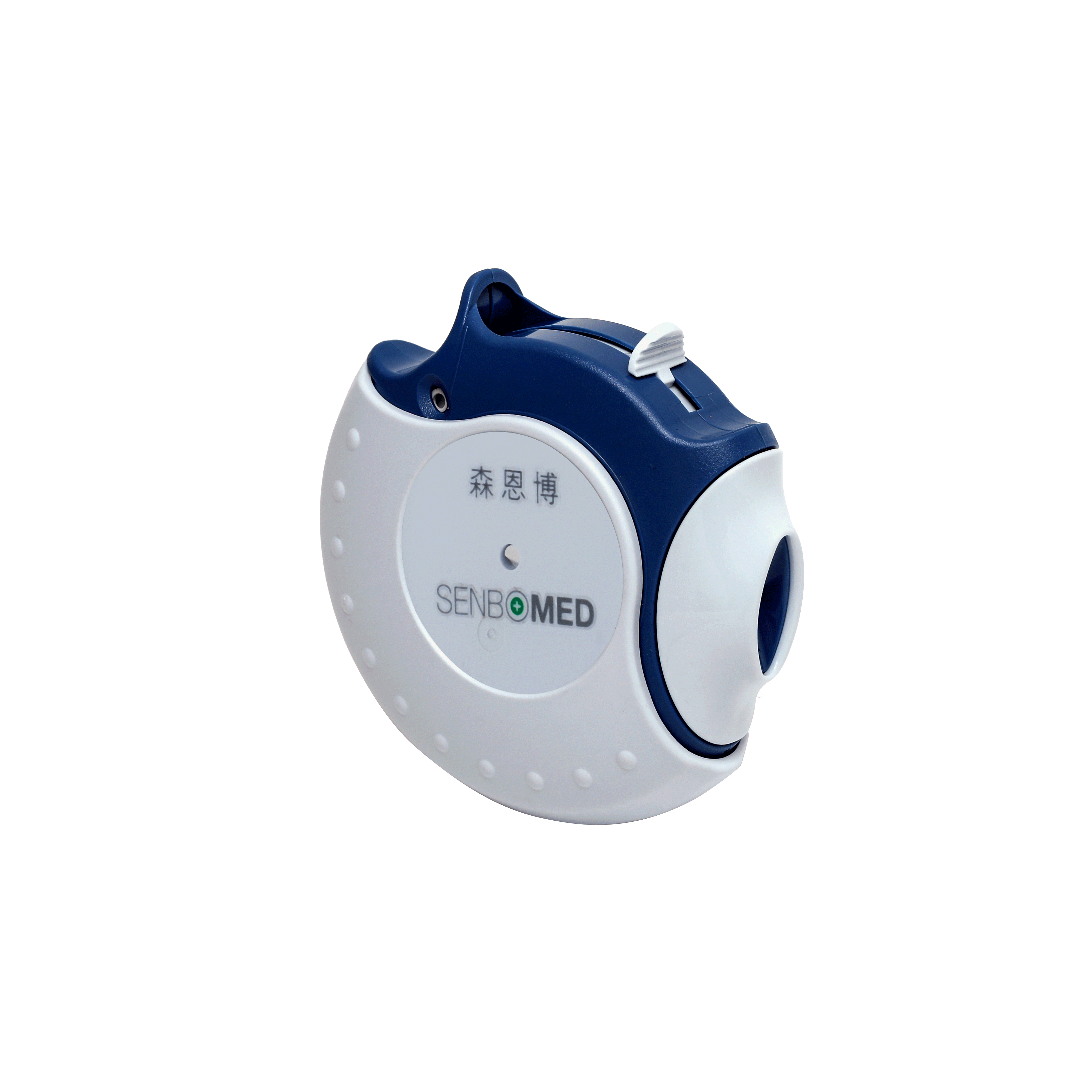 Dry Powder Inhaler (DPI)